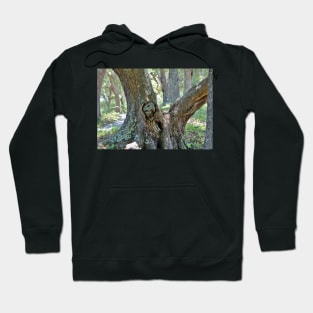 Spooky Face In A Tree Hoodie